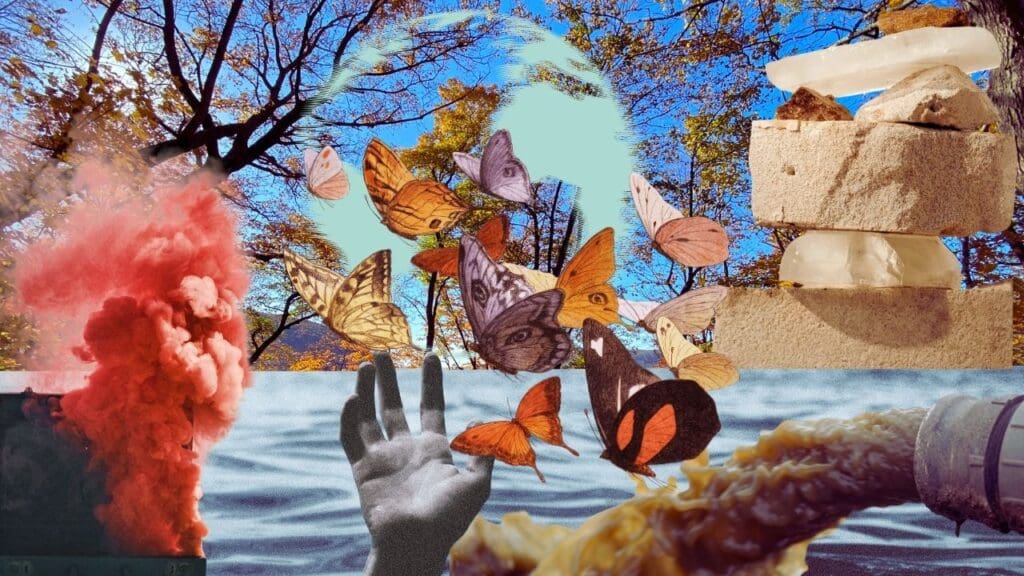 Collage of contrasting environmental elements, representing the A B C's of sustainability. Vividly colored butterflies in various patterns flutter around a clear opening in a forest with autumn leaves, juxtaposed with a hand reaching out towards the sky. A striking red smoke plume emits from a pipe, and rough stone balances delicately, symbolizing equilibrium. In stark contrast, a pipe discharges waste into water, reflecting the challenges of environmental stewardship.